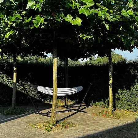 Modern With Cinema 度假居 埃尔默洛