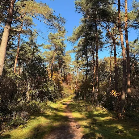 度假居 Modern With Cinema *