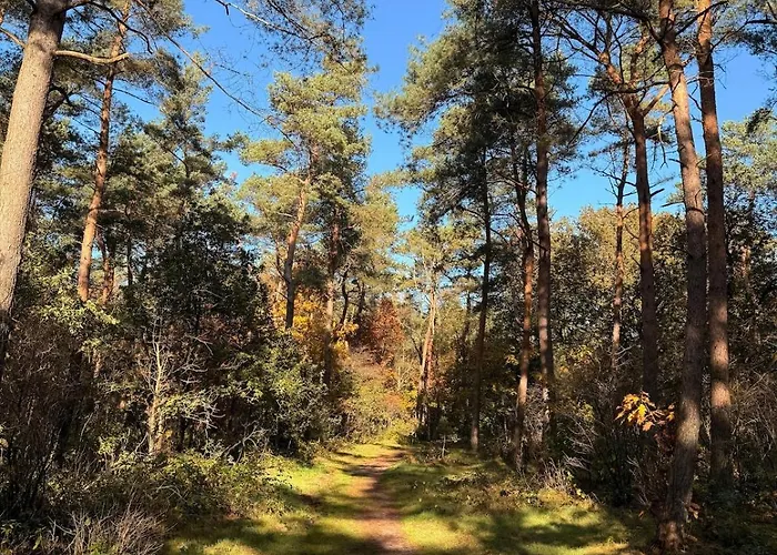 度假居 Modern With Cinema *